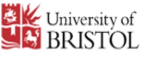 Bristol University Logo