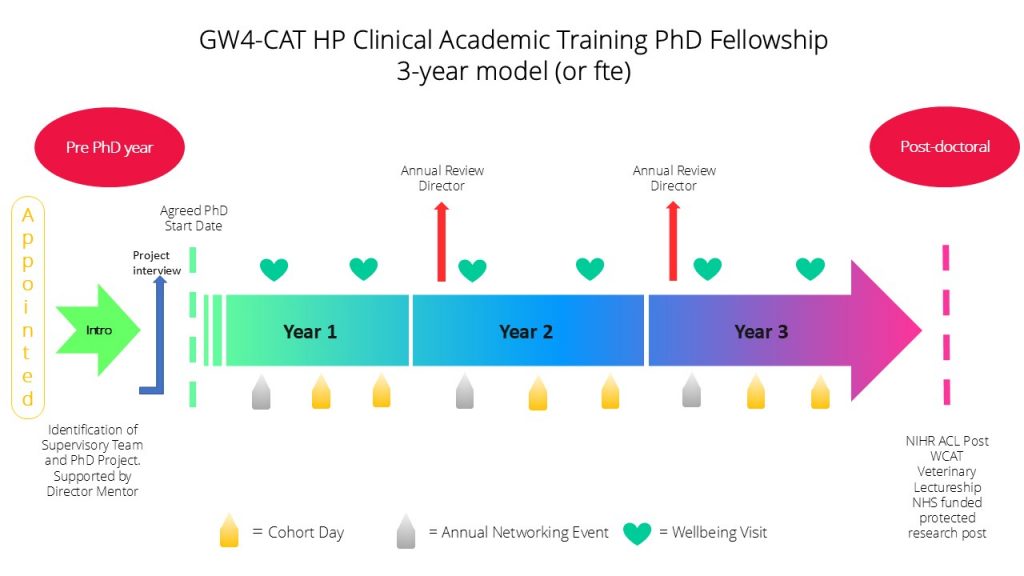 Graphic detailing progression through a typical 3 year PhD journey